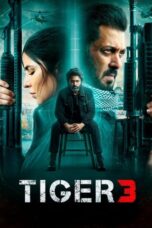 Nonton Film Tiger 3 (2023) Bioskop21